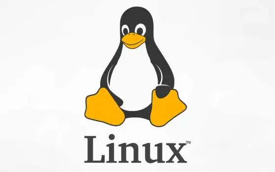 Linus Torvalds usa Claude Code per ottimizzare Linux, la svolta