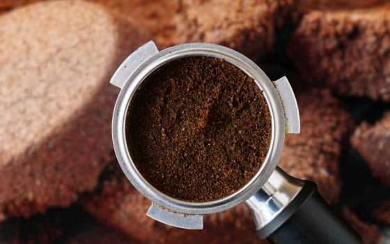 Gli scienziati spiegano come utilizzare i fondi di caffè