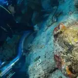 È stato scoperto il relitto più antico della Terra