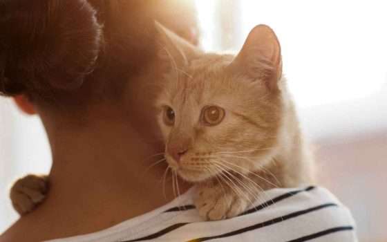 Tu e il tuo gatto condividete più di quanto pensi