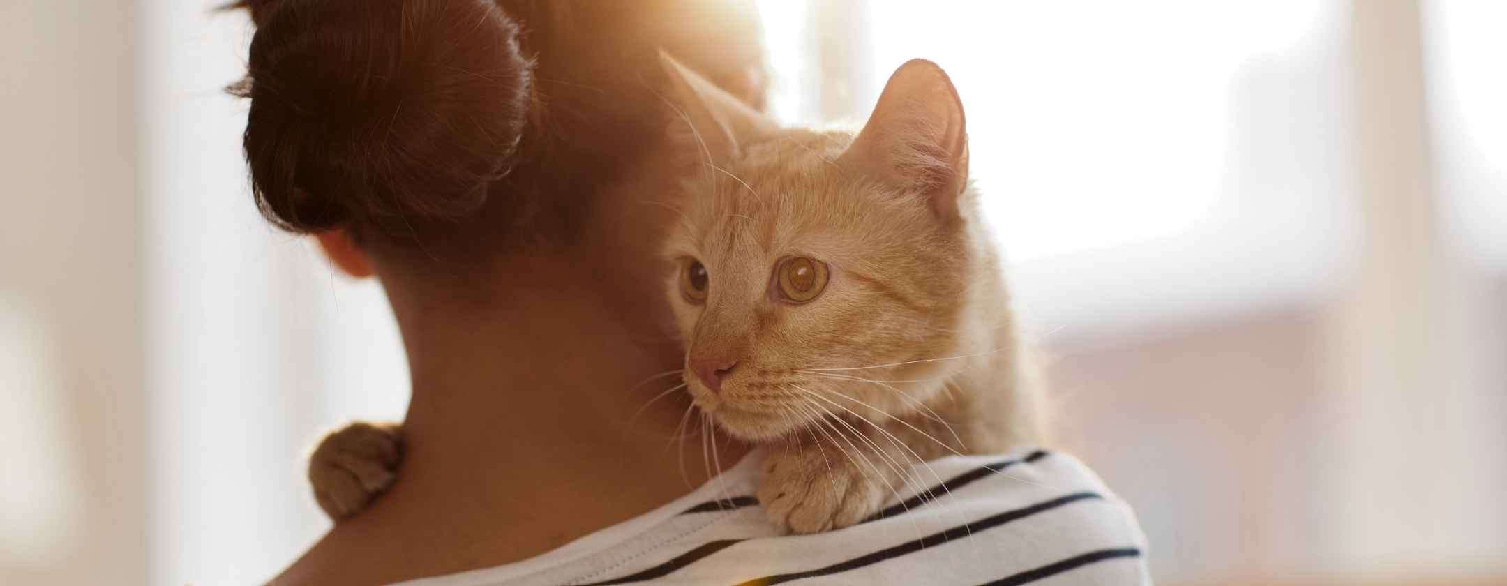 tu-e-il-tuo-gatto-condividete-piu-di-quanto-pensi